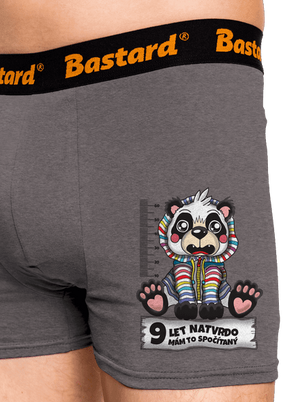 Školní docházka boxerky Gray Melange