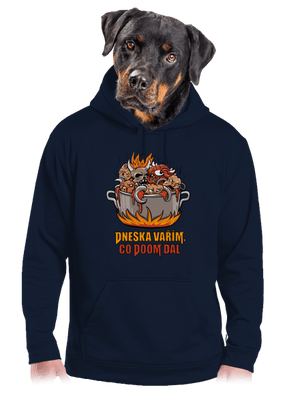 Co Doom dal pánská mikina klokanka Navy