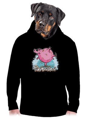 pánská mikina klokanka