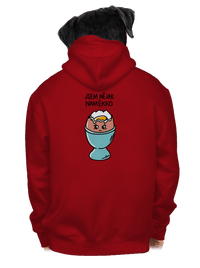 pánská mikina na zip