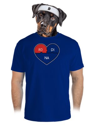 pánské sportovní tričko