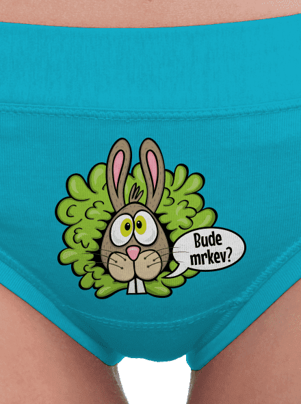 Vitamíny pro zajíčky dámské kalhotky Turquoise