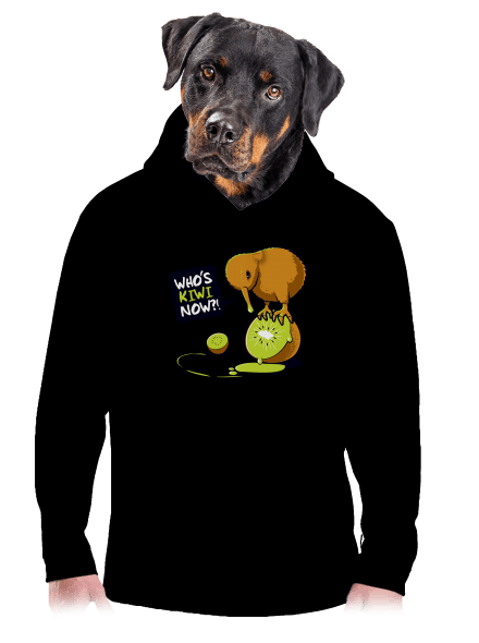 Kiwi pánská mikina klokanka Black