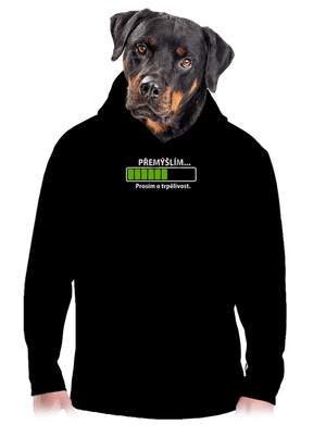 Přemýšlím pánská mikina klokanka Black