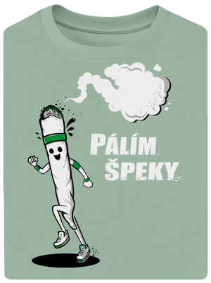 Pálím špeky unisex tričko oversized Sage