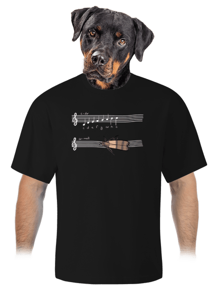 A - moll unisex tričko oversized Black