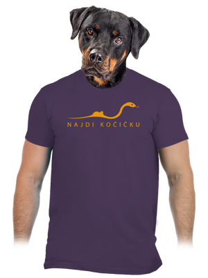 Najdi kočičku pánské tričko Urban Purple
