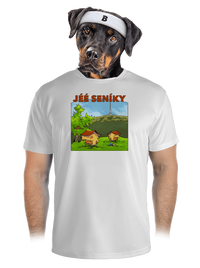 pánské sportovní tričko