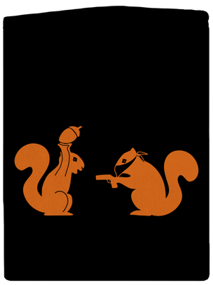 Veverky dámská mikina na zip Black