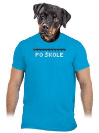 pánské tričko