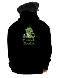 pánská mikina na zip