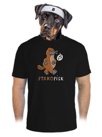 pánské sportovní tričko