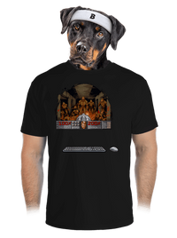 pánské sportovní tričko