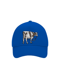 kšiltovka baseballka