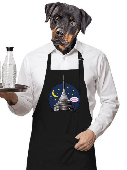 Ještěd zástěra Black