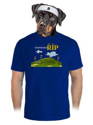 pánské sportovní tričko