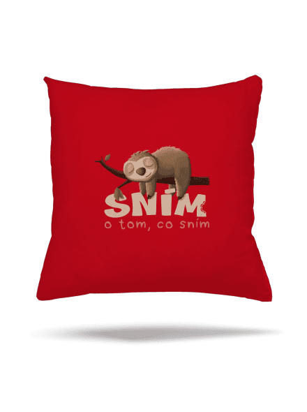 Sním o tom, co sním polštář Red
