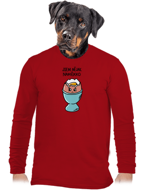 pánské dlouhý rukáv