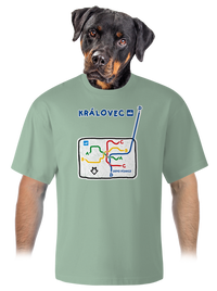 unisex tričko oversized