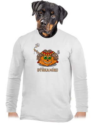 pánské dlouhý rukáv