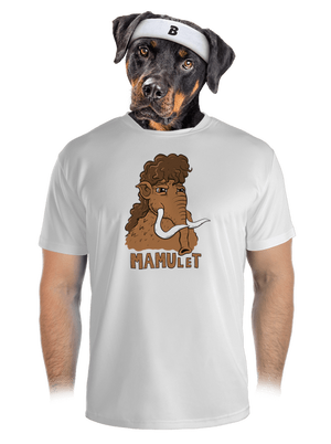 pánské sportovní tričko