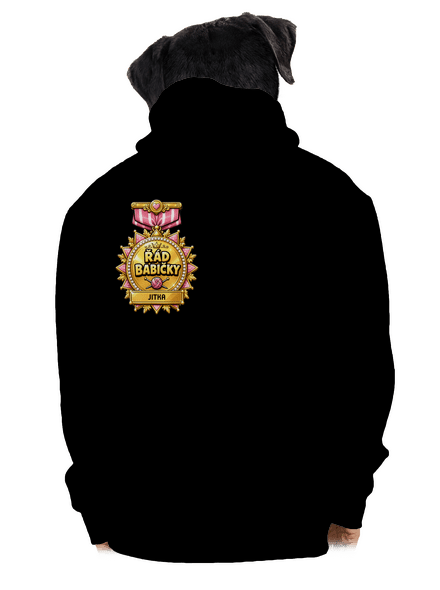 Řád babičky pánská mikina na zip Black