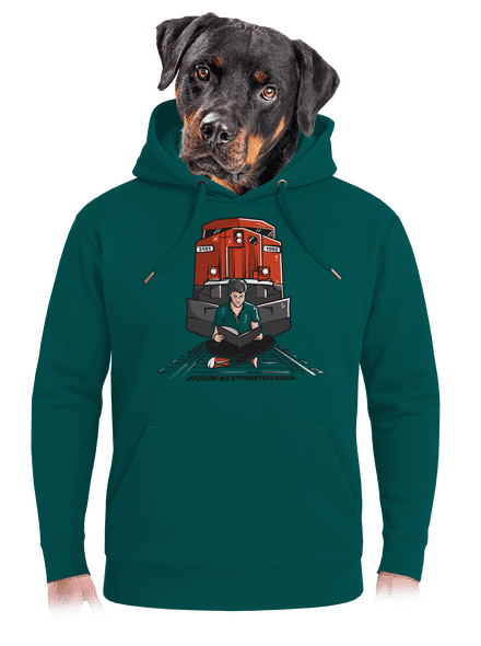 Studentská kolej unisex mikina premium Emerald Green