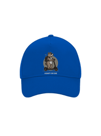 kšiltovka baseballka