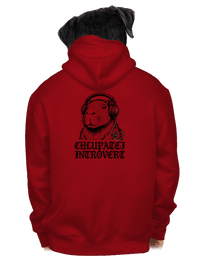 pánská mikina na zip