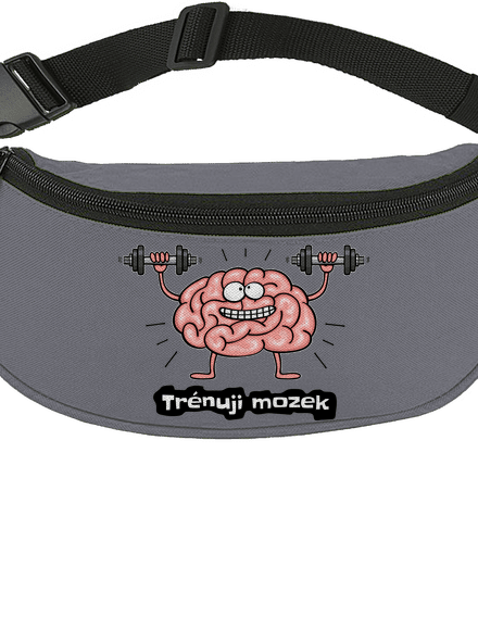 Trénuji mozek ledvinka Graphite