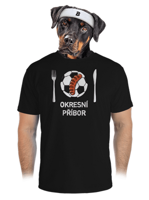 pánské sportovní tričko