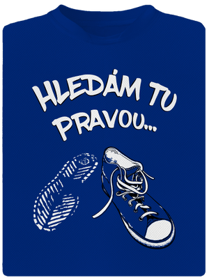 Hledám tu pravou pánské sportovní tričko Royal Blue Mal