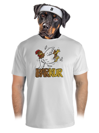 pánské sportovní tričko