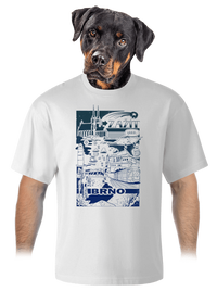 unisex tričko oversized