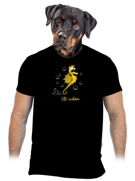 Na koníka pánské tričko Black