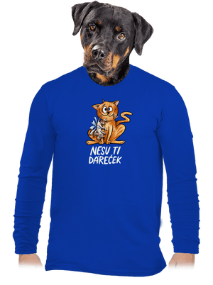 pánské dlouhý rukáv