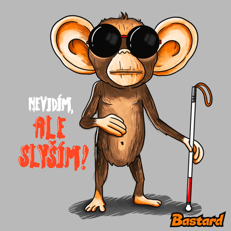 Nevidím, ale slyším