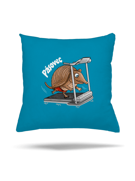 Pásovec polštář Blue Turquoise
