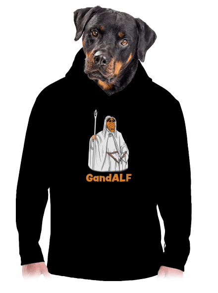 GandALF pánská mikina klokanka Black