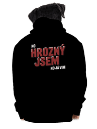 pánská mikina na zip