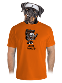 pánské sportovní tričko
