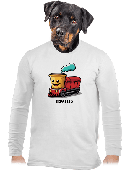 Expresso pánské dlouhý rukáv White