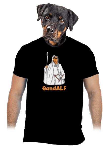 GandALF pánské tričko Black