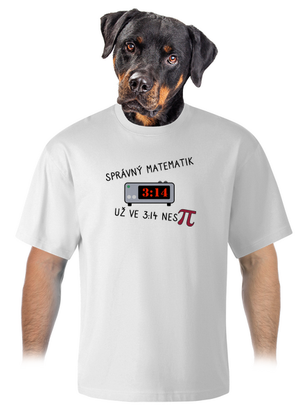 Matematik nespí unisex tričko oversized White