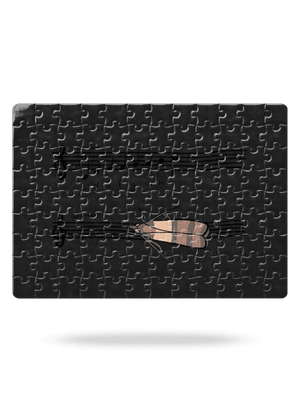 A - moll puzzle White