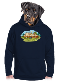 pánská mikina klokanka