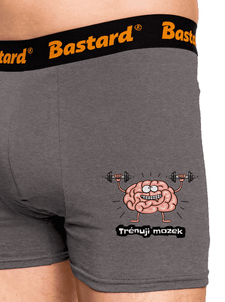 Trénuji mozek boxerky Gray Melange
