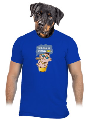 Boss pánské tričko Royal Blue