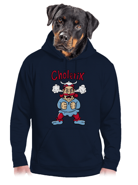 Cholerix pánská mikina klokanka Navy