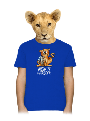 Nesu ti dáreček  dětské tričko Royal Blue